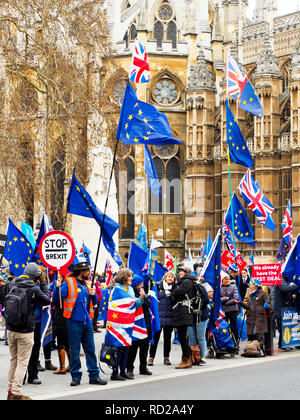 Londra 15 Gennaio 2019 - uscire e restare sostenitori si raccolgono al di fuori del Parlamento prima della cruciale votazione Brexit - Londra, Inghilterra Foto Stock