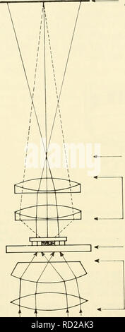 . La citologia. La citologia. Il piano focale di oculare piano focale posteriore di obiettivo obiettivo del microscopio condensatore dello stadio figura 11-12. Schema che illustra il percorso ottico di deviati e Undeviated luce attraverso la luce comune microscopio. trasmesso dall'oggetto tenderà ad annullare ogni altro fuori (interferenza distruttiva) e rendere l'oggetto più scura rispetto a quella dei suoi dintorni (Figura 11-13). Questo è scuro o positivo a contrasto di fase (figura 11-14 (a)). Luminose o negativo a contrasto di fase, in cui l'oggetto appare più luminosa di quella dei suoi dintorni, si ottiene ritardando la luce undeviated da Va wav Foto Stock