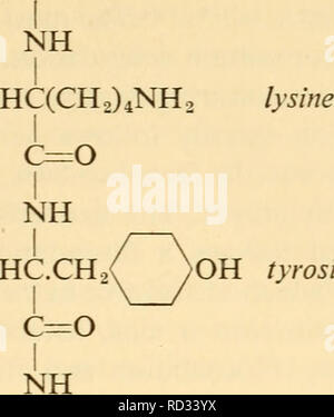 . Tecnica citologico; i principi alla base di metodi di routine. Istologia -- tecnica; la citologia -- Tecnica. Introduzione a fissaggio 19. NH2 HCR HC.CHa^ )OH tirosina c=o ho OH formula generale per HC(CH2)2C^ acido glutammico Amminoacidi OH I tre amminoacidi come parte di una catena di proteina ogni ammino acido sono scritti sulla destra della formula in ogni caso, anche se in realtà essi sporgono in direzioni diverse; e la ripetuta parte o la spina dorsale della formula è mostrato come diritte, anche se in natura è piegato, sia per formare un semplice o a zig-zag in più complessi modi. Queste convenzioni sarà Foto Stock