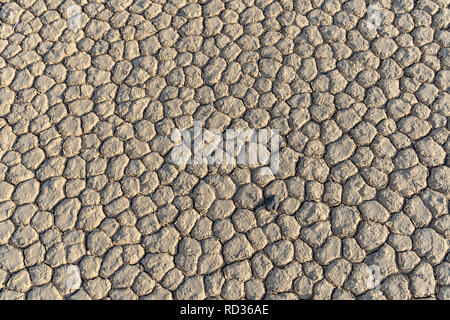 Dry Lake bed formato modelli poligonali, solitamente 6 facciata, Racetrack Playa con un unico black rock, il Parco Nazionale della Valle della Morte, California Foto Stock