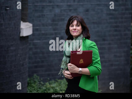 Claire Perry, Ministro di Stato per l'energia e pulire la crescita, a Downing Street per una riunione del gabinetto. Foto Stock