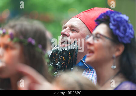 La folla a guardare una banda a barbuto teoria music festival Foto Stock