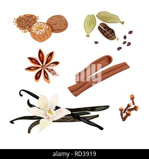 Set di icone vettoriali di spezie. Il cardamomo, anice stellato, noce moscata, fiore di vaniglia e bastoni, chiodi di garofano e cannella. Illustrazione Vettoriale. Illustrazione Vettoriale