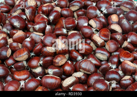 Le Castagne per la vendita su un mercato in stallo in Berkshire, Inghilterra, Regno Unito Foto Stock