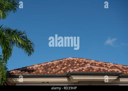 Il tetto coperto di tegole di terracotta con Palm tree e luminoso cielo blu Foto Stock