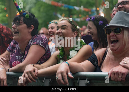 La folla a guardare una banda a barbuto teoria music festival Foto Stock