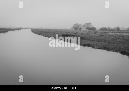 Un fiume su livelli di Somerset in una nebbiosa mattina Foto Stock