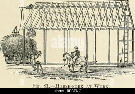 . Allevamento di animali da latte : essendo la teoria, pratica e i metodi di produzione di latte. Aziende lattiere; stabilimenti lattiero-caseari; latte piante. Fig. 80.-cavallo-forcella. è il cavallo-forcella, o ascensore. Di questi attrezzi vi è una varietà infinita, ma esiste un principio comune a tutti loro, vale a dire l'occupazione di cavalli di potenza mediante rojses e pulegge. In Fig. 80 è sho^vn di uno dei più efficaci di questi strumenti, e anche il metodo mediante il quale è emploj'ed all'interno di un edificio. Due parallele e robusti longheroni di legno, circa 6 o 8 centimetri di distanza, e lasciando uno spazio libero tra di loro lungo tutto, sono sus- pended da e ben brae Foto Stock