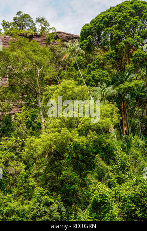 Suggestivo il paesaggio costiero nel Bako National Park in Sarawak, Borneo Malese. Foto Stock