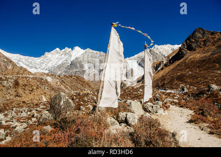 Bandiere di preghiera in montagna, Langtang Valley, Nepal Foto Stock