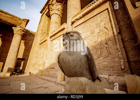 Statua di Horus dio falco al Tempio di Horus o il Tempio di Edfu in Egitto Foto Stock
