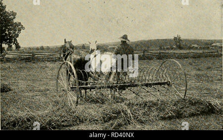 . Agricoltura elementari. L'agricoltura. Il fieno CEOP 159 girato con aratro tlie presentano guadagni nelle colture che seguono, a causa della quantità extra di azoto a sinistra dietro. Il trifoglio rende un ideale il fieno per il bestiame e la posizione in cui è sollevata, si dovrebbe fare fino a metà o più della crusca di le mucche da latte. Gli ovini e i giovani stock per rendere eccellente la crescita su fieno trifoglio o il pascolo di trifoglio. Come ottenere un cavalletto. Dove il suolo è stato consumato da molti raccolti viene prelevato e nessun alimento vegetale o humus rimettere, trifoglio rosso non crescono spesso. Al fine di portare tale terra, un cappotto pesante di un fienile- concime di cantiere aiuterà Foto Stock