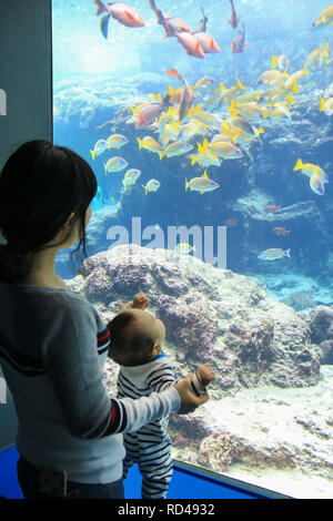 Asian giovane madre e suo figlio guardando colorati pesci tropicali Foto Stock