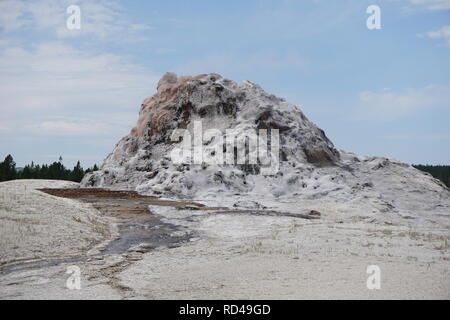 Cupola Bianca Geyser, il Parco Nazionale di Yellowstone Foto Stock