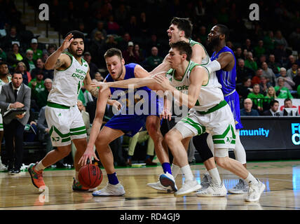 Gennaio 16, 2019 Dakota del Sud dello stato di avanzamento Jackrabbits Mike Daum (24) dribbling attraverso i difensori durante uno degli uomini del NCAA college basketball gioco tra il Sud Dakota Jackrabbits dello stato e le università del Nord Dakota falchi di combattimento a Betty Engelstad Sioux Center, in Grand Forks, ND. SDSU vinto 78-74. Foto di Russell Hons/CSM Foto Stock