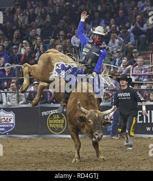 Denver, Colorado, Stati Uniti d'America. 16 gennaio, 2019. Bull Rider CODY NANCE di Parigi, TN rides Bug occhi durante il PBR Denver scivolo fuori finali all'113th.National Stock occidentale mostrano al Colosseo di Denver Mercoledi sera. Credito: Hector Acevedo/ZUMA filo/Alamy Live News Foto Stock