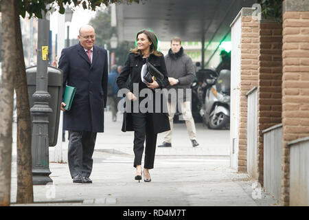 Madrid, Spagna. Xvii gen, 2019. Regina Letizia partecipa ad un incontro con il Consiglio di Amministrazione di FEDER a Feder uffici a Madrid in Spagna su gennaio17, 2019. Credito: Jimmy Olsen/Media punzone ***Nessuna Spagna***/Alamy Live News Foto Stock