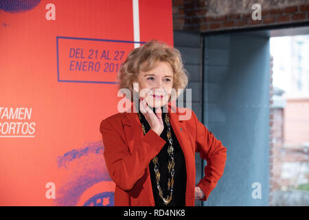 Madrid, Spagna. Xvii gen, 2019. Marisa Paredes, 'Puente de Toledo award' visto durante i premi Goya. Il Carabanchel Film Week è diventato uno dei più lunga e mostre a Madrid e ha reso consolidare come il preludio al Premi Goya. Credito: Gesù Hellin/SOPA Immagini/ZUMA filo/Alamy Live News Foto Stock