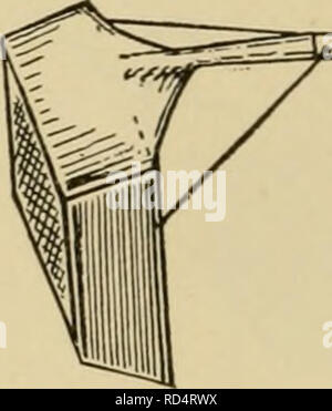 . Entomologia elementare. Entomologia. Sag net, gancio e spazzola per col- riflettenti in rapids (Dopo Needham) Fig. 470. Un setaccio acquatici net (Fig. 471). Questa rete è destinata a essere utilizzata in acqua stagnante o su fondi sabbiosi dove c'è ma httle vegetazione. Il telaio è costituito da un acciaio Hght asta, i lati di stagno pesante o ferro zincato, e un fondo di fine o in ottone zincato. Fig. 471. Un setaccio acquatici netto (dopo Needham) filo netting. Quando è provvisto di un manico lungo, questa rete può essere utilizzata da riva e è particolarmente consigliato per scavare le ninfe di insetti acquatici. Rastrello net. Il rastrello n Foto Stock