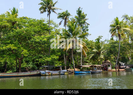 Poovar lagune, Kerala, India Foto Stock