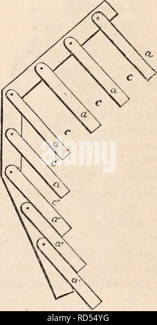 . Il encyclopaedia - Wikizionario di anatomia e fisiologia. Anatomia e fisiologia; Zoologia. Diagramma che rappresenta la posizione delle nervature influenzata dalla posizione della colonna vertebrale. Contemporaneamente, i primi quattro avrebbe approxi- mate, mentre tutto il resto sarebbe recedere dall'altra. Pertanto le posizioni delle diverse parti che rappresentano la spina dorsale nella fig. 679. Il comando e regolare queste modifiche. consentendo di libera rotazione su un rigido di per- pendicular corpo a un ; lasciate che le estremità libere di queste barre essere mantenute distanziate in modo tale che le barre possono in ogni momento essere paralleli tra loro. In questa condizione una certa distanza ex Foto Stock