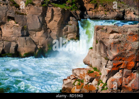 White River corre attraverso l'Est Oregon di alto deserto attraverso il canyon di basalto a White River State Park. Foto Stock