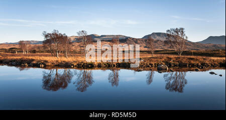 Trampolieri in terreni paludosi sul Loch Ba, Rannock Moor, per ottenere questa serena shot del tramonto illuminano i bordi di betulla e lo specchio di riflessione. Foto Stock