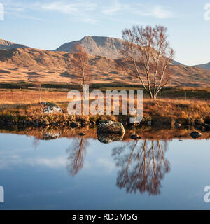 Trampolieri in terreni paludosi sul Loch Ba, Rannock Moor, per ottenere questa serena shot del tramonto illuminano i bordi di betulla e lo specchio di riflessione. Foto Stock