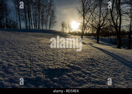 La luce dal basso sole che splende tra i rami degli alberi senza foglie in coperta di neve terreno durante il periodo invernale Foto Stock