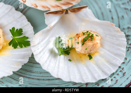 Capesante scottate shell con burro e aglio e prezzemolo. Foto Stock