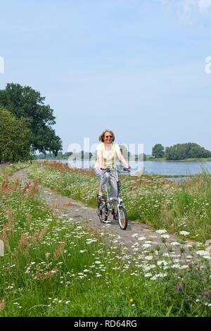 Ciclista sulla diga a Wussegel vicino a Hitzacker, Naturpark Elbufer-Drawehn riserva naturale, Bassa Sassonia, Germania Foto Stock