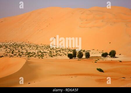 Sabbia rossa, dune che possono arrivare oltre 200 metri di altezza, nel deserto Rub'Al-khali o Empty Quarter, Abu Dhabi, Emirati Arabi Uniti Foto Stock