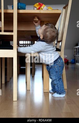 Little Boy, dieci mesi, esplorando l'appartamento, tirando verso di sé fino a una poltrona Foto Stock