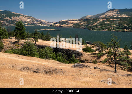 Catherine Creek Columbia River Gorge Washington stato USA Foto Stock