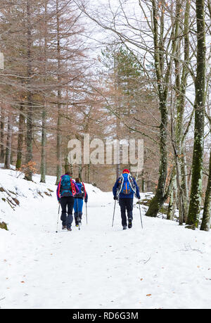 Il Trekking in un giorno di neve in Paese Basco Foto Stock