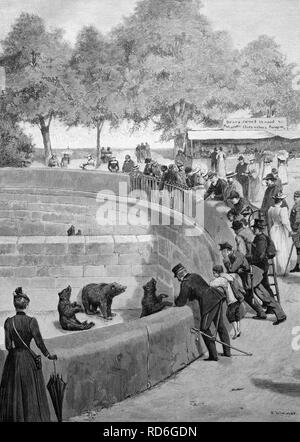 La Fossa degli orsi di Berna, Svizzera, illustrazione storico, ca. 1893 Foto Stock