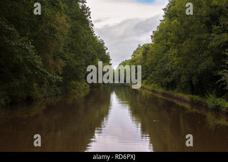 Un tratto tranquillo della Llangollen Canal a Whixall Moss, in Inghilterra/Galles confine Foto Stock