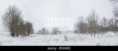 Grande orizzontale neve invernale panorama sulla strada attraverso il bosco misto Foto Stock