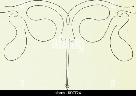 . Il miele-maker. Le api. Io ho 2 il Honey-Makers dal Homoeopathic Pharmacopoeia otteniamo le seguenti : - " Estrarre il pungiglione insieme con il veleno-sacco da api appena ucciso. La presa del sacco, inserire il punto di sting in un piccolo tubo di vetro e spremere il veleno in essa. Oppure prendere un live ape con un paio di pinze e consentono di tenere in mano un piccolo grumo di zucchero. Esso sarà immediatamente sting nello zucchero che assorbono il veleno. Ripetere questo processo fino a quando è troppo è accumulato per avviare una triturazione." Talvolta tutta la api vengono utilizzati ; in tal caso, la &QUOT Foto Stock