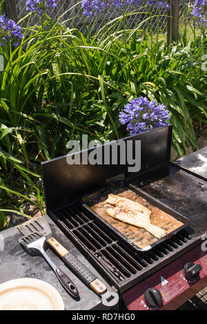 La Passera pianuzza essendo cotti sul barbeque Foto Stock