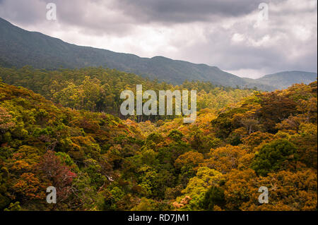 Vista panoramica di Horton Plains National Park e la fine del mondo da Ohiya Gap, Sri Lanka. Visto dal movimento del treno con la sfocatura per mostrare la velocità. Foto Stock