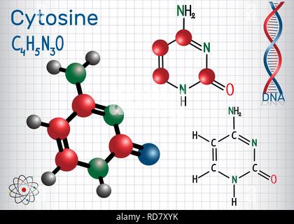 Citosina (C)-pirimidina nucleobase, unità fondamentale del codice genetico nel DNA e RNA. Foglio di carta in una gabbia. Formula chimica di struttura e Illustrazione Vettoriale