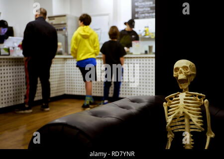 Storrs, CT, Stati Uniti d'America. Nov 2018. Scheletro di Halloween ornamento seduti sul divano a una gelateria, o semplicemente humorously il servizio è lento. Foto Stock