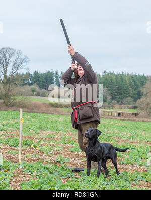 Cane e uomo su fagiano shoot Foto Stock