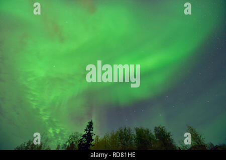 Aurora boreale (Northern lights), Yellowknife, Northwest Territories, Canada Foto Stock