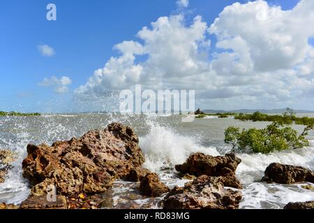 Onde che si schiantano contro le aspre rocce vicino mangrovie, Yuibera trail a Cape Hillsborough National Park, Queensland, Australia Foto Stock