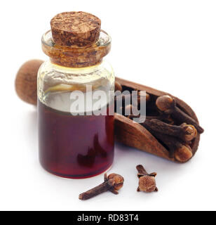 Spicchio di fresco con olio in un vaso su sfondo bianco Foto Stock