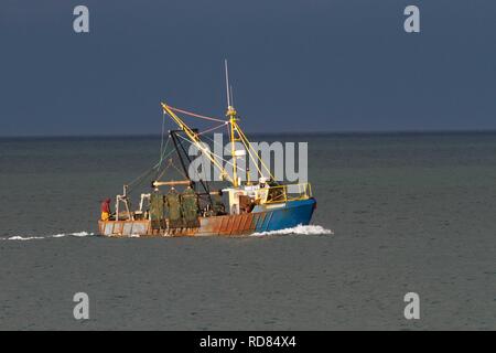 A strascico costiera in poco profondo mare costiero la pesca di vita marine che possono minacciare la colonia di po ter(Sterna albifrons) .vita marina parte della catena ecologica che influenzano il ciclo di vita dei cicerelli ,capo oggetto di preda di poco Sterne -specie indicatore del cambiamento climatico. Foto Stock