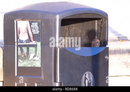 Marrone (Ratto Rattus norvegicus) investigando spazzatura. Foto Stock