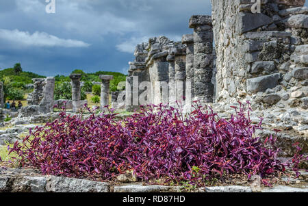 Rovine Maya su un nuvoloso e piovoso giorno Foto Stock